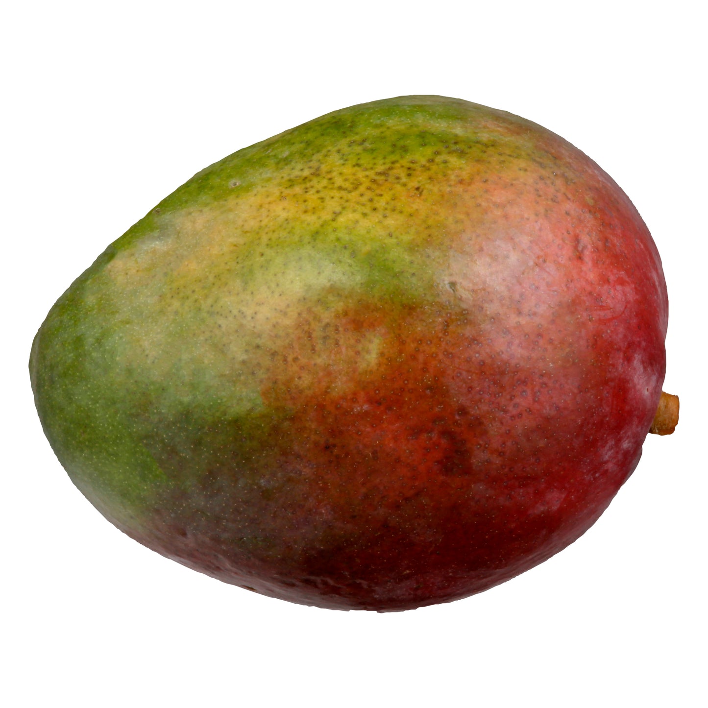 Red Mango - Large