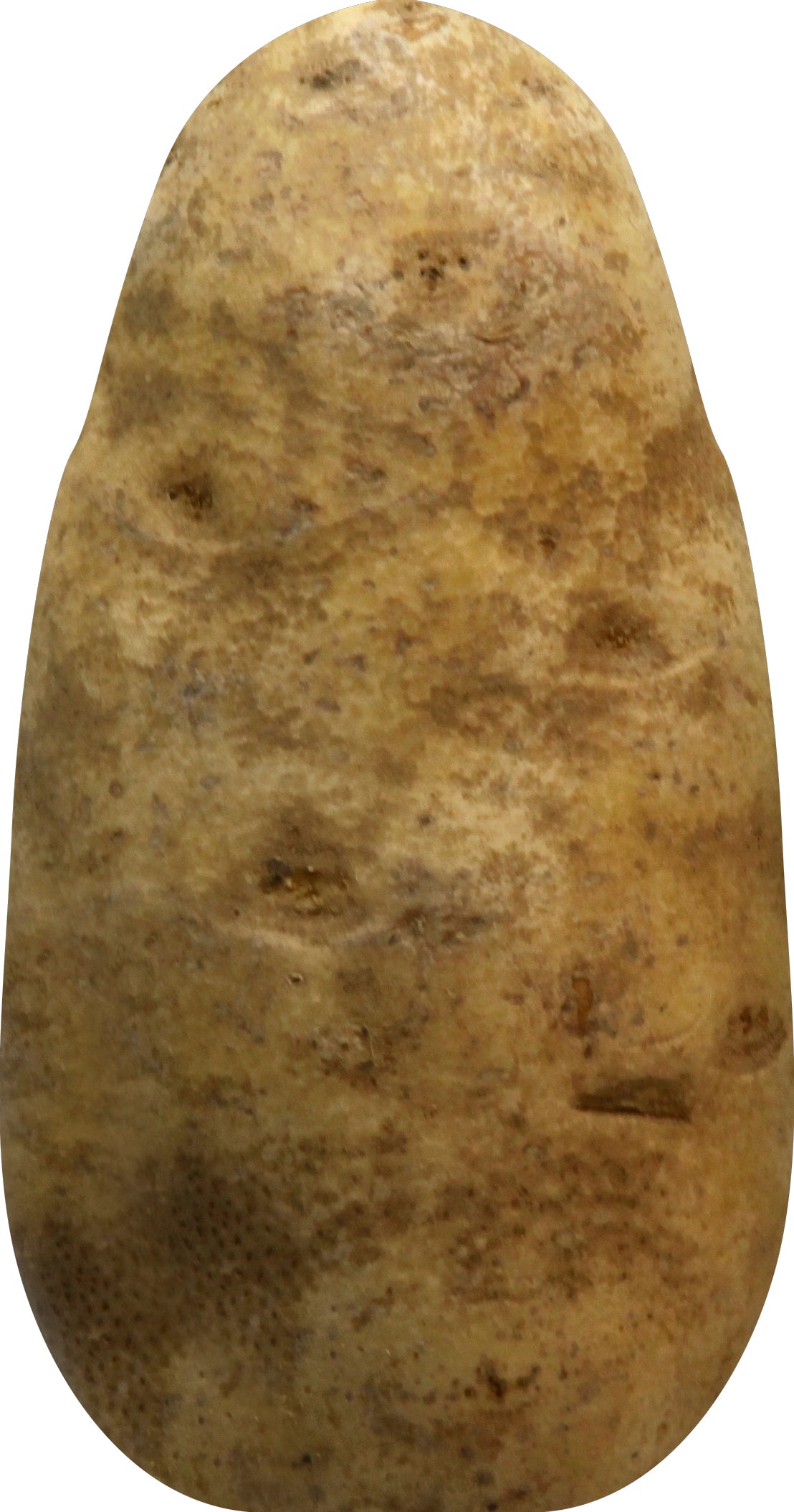 Russet Potato - 8LB