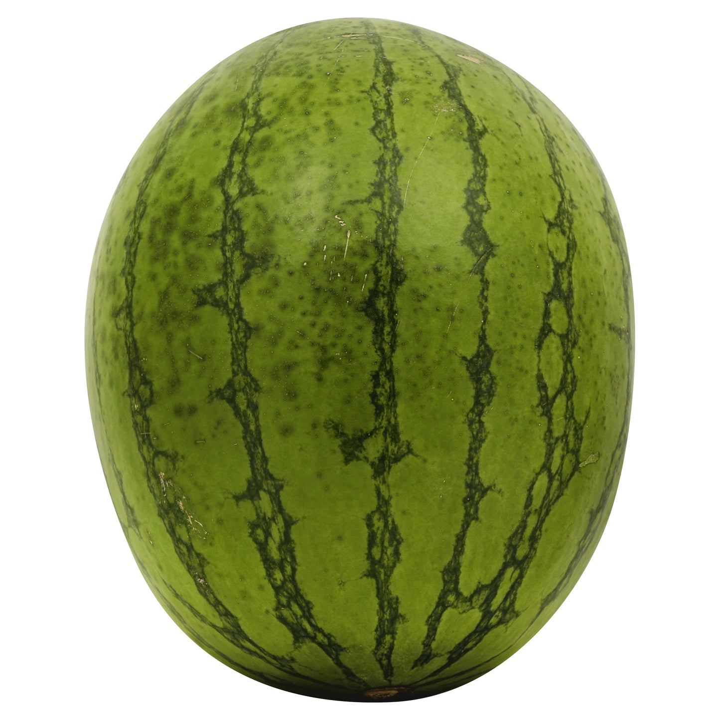 Mini Watermelon