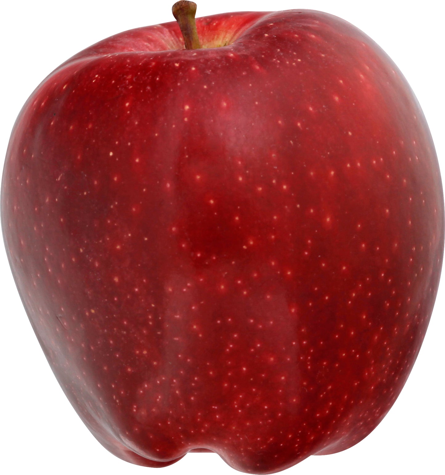 RED DEL APPLE