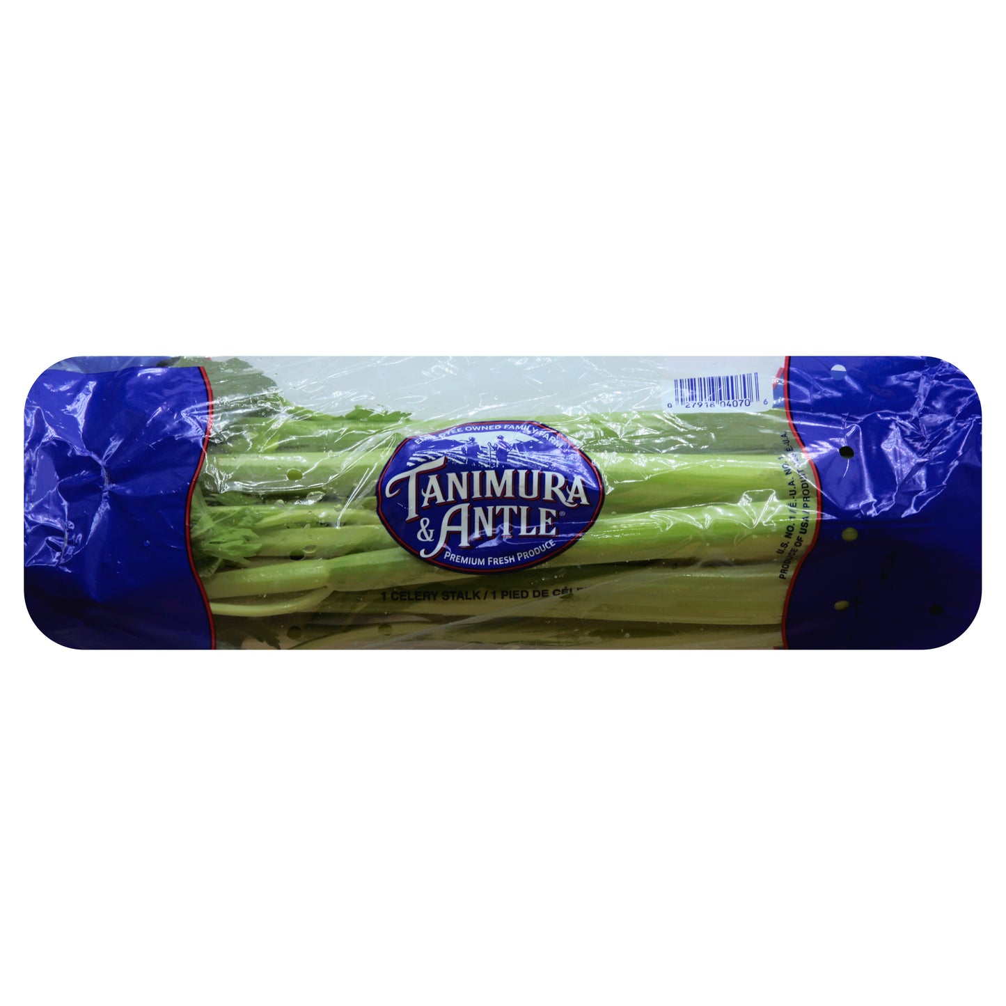 Celery Stalk